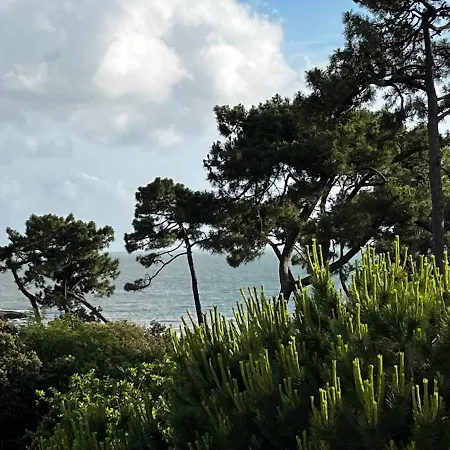 Cote Nauzan Vue * Vaux-sur-Mer